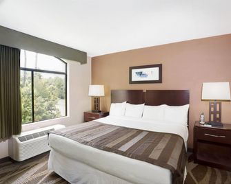 Wingate by Wyndham Raleigh Durham / Airport - דורהאם - חדר שינה