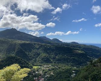 Le Petit Paradis - Roseau