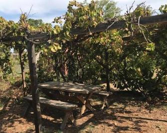 Stay on the farm - 1 bedroom cottage with deck outside of Davis - Davis - Patio
