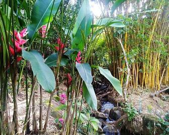Apart-study in the middle of nature with a view of Cali and the Valle del Cauca. - El Banco - Vista del exterior
