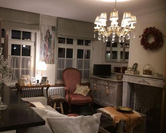 Lady Anna Charming Suite in the Center of Bruges - Brugia - Pokój dzienny