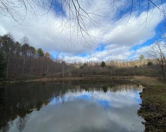 Blue Ridge Mountain Family Log Cabin 4 bedroom + Treehouse - Cana - Vista del exterior