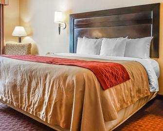 Quality Inn & Suites - Roswell - Bedroom