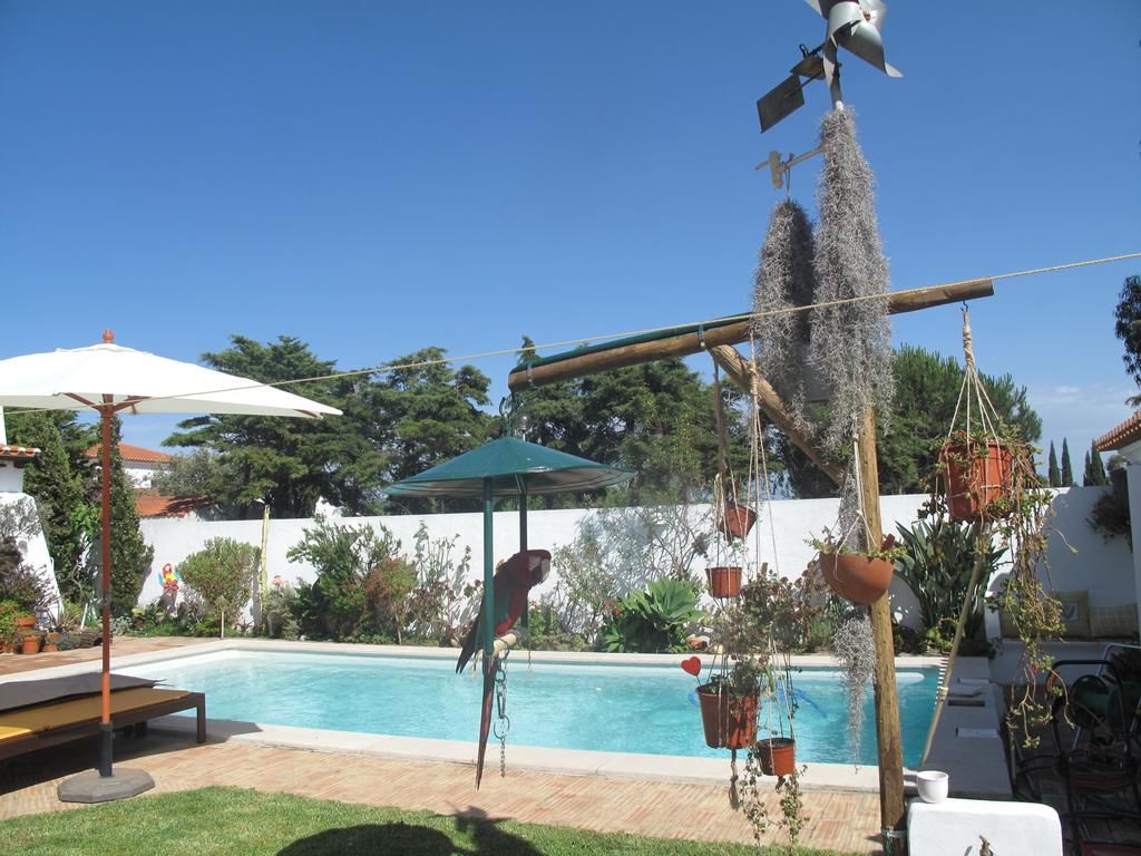 Casa dos Cactos - Vila Nova de Milfontes - Pool