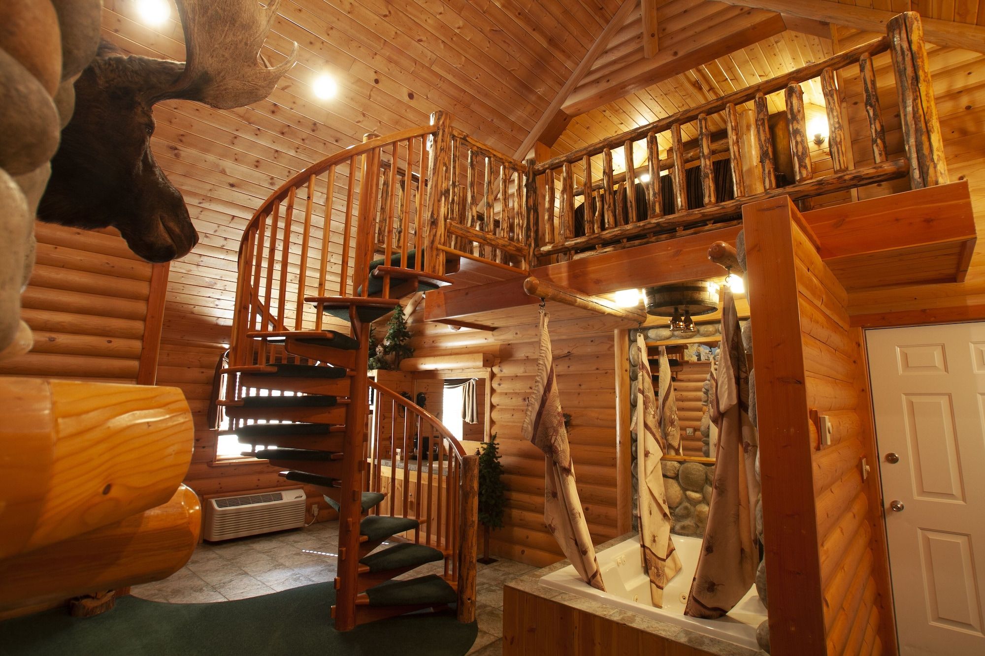 بلاك سوان إن