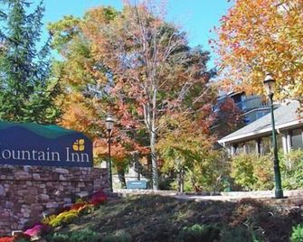 Mountain Inn Studio 92 with Wintergreen Advantage - Wintergreen - Outdoors view