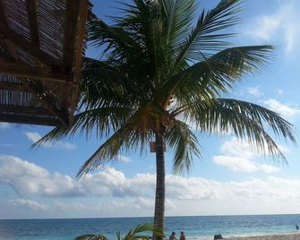 Lovely Studio Apartment on the South shore of Grand Bahama Island at Coral Beach - Freeport - Strand