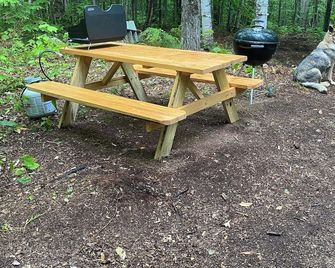 This woods cabin is a true wilderness getaway. Get ready to commune with nature. - Waterford - Patio