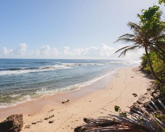 The Oliver - San Juan - Beach