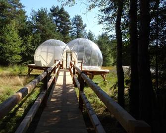 Les Bulles de Sologne - Hébergements Insolites - Brinon-sur-Sauldre - Habitación