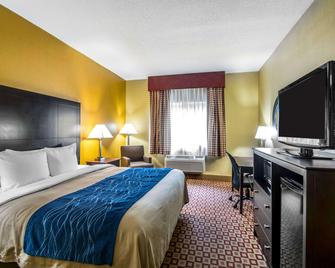 Quality Inn Plant City - Lakeland - Plant City - Bedroom