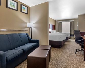 Comfort Suites Plano - Dallas North - Plano - Habitación