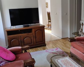 Big 70m2 apartment with free parking - Belgrad - Oturma odası