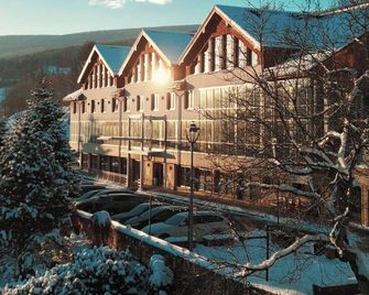 Hotel & Medi-Spa Bialy Kamien - Świeradów-Zdrój