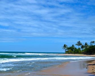 Pousada do Holandes Bahia - Barra Grande - Plage