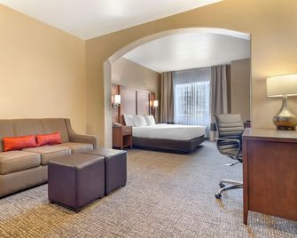 Comfort Inn at Convention Center - Saint George - Soverom