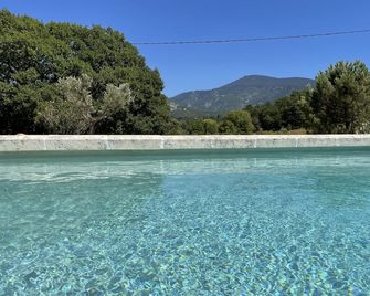 Idyllic Provencal house overlooking Mont Ventoux. - Malaucène - Pool