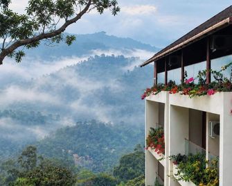 Olive Woods - Chinnakanal - Outdoors view