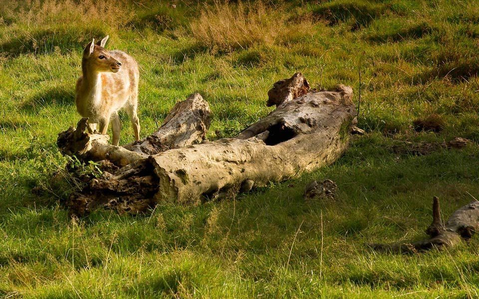 Buitenplaats Kasteel Elsloo