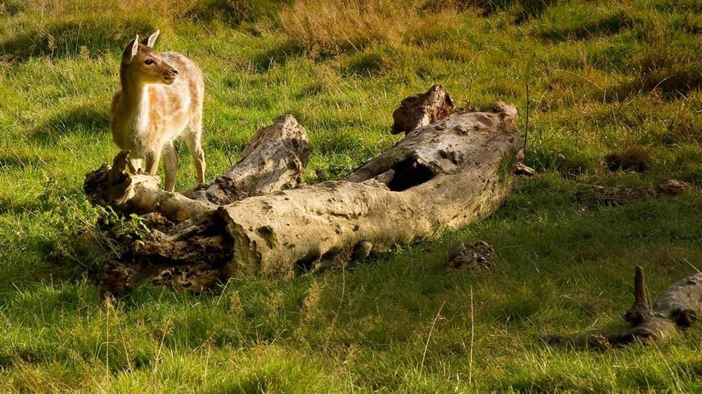 Buitenplaats Kasteel Elsloo