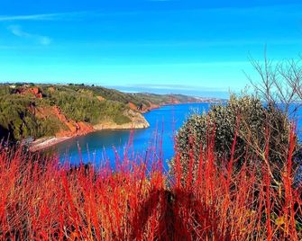 Babbacombe Palms - Torquay - Outdoor view