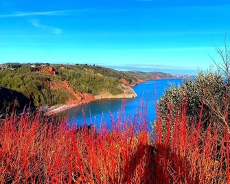 Babbacombe Palms - Torquay - Extérieur