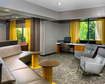 SpringHill Suites by Marriott Asheville - Asheville - Sala de estar