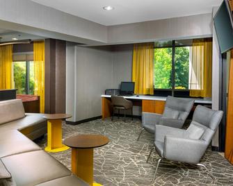 SpringHill Suites by Marriott Asheville - אשוויל - סלון