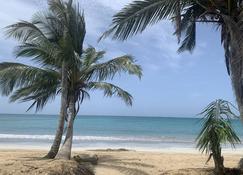 Caribbean Domicile - Las Terrenas - Spiaggia