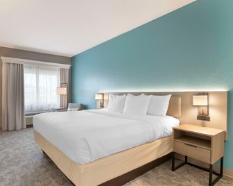 Comfort Inn & Suites Davenport - Quad Cities - Davenport - Soveværelse