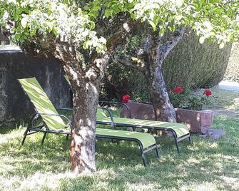 Hôtel Au Vieux Moulin - Le Bonhomme - Patio