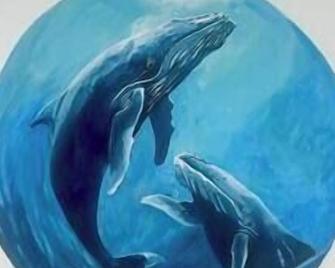 Randi’s Oasis - The Whale Cabana - San Lorenzo