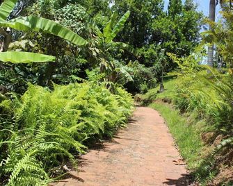 El Oasis Hotel - Aguada - Outdoors view