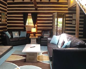 Historic Riverside Log Cabin - Stay Waterfront! - Elkins - Living room