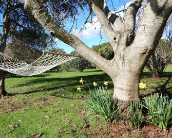 Lupton Lodge - Whangarei - Outdoor view