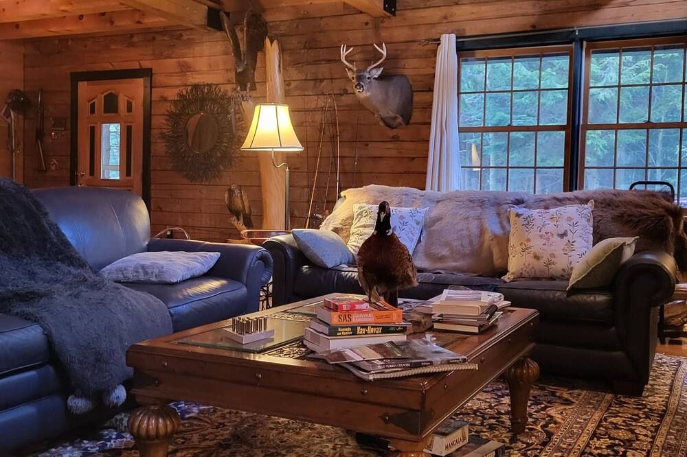 Spectular Cabin on private Lake, 38 acres w hiking trails, fish, swim and kayak.