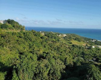 Wake Up to Ocean Views: Your Puerto Rico Paradise Awaits! - Yabucoa - Balcony