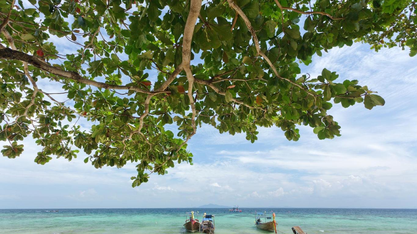 Chaokoh Phi Phi Hostel