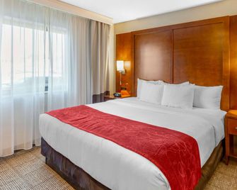 Comfort Suites Oakbrook Terrace near Oakbrook Center - Oakbrook Terrace - Habitación