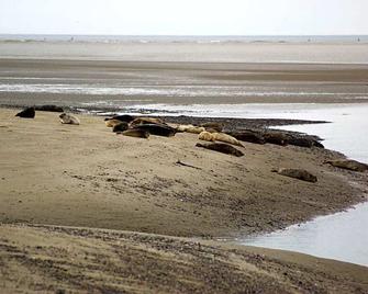 La Longere De Suzanne - Arrest - Beach