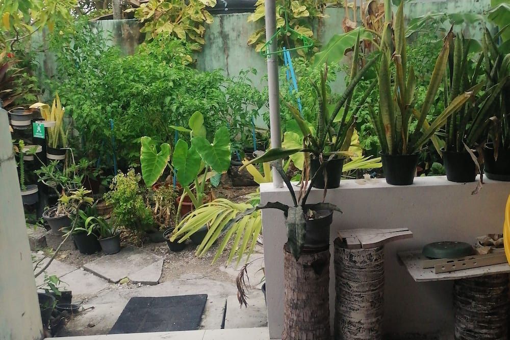 The Rose Garden House - Addu City - Buiten zicht
