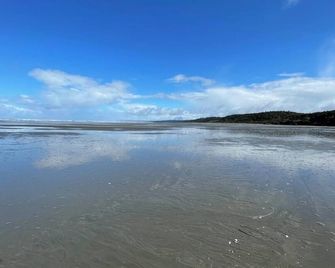 Sculpin Studio - Steps to Beach - Ocean View, Dog Friendly! - Moclips - Beach