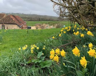 Cottage with garden, barbecue & jacuzzi - Sturminster Newton - Вигляд зовні