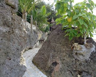 Sea Turtle House - Moalboal - Vista del exterior
