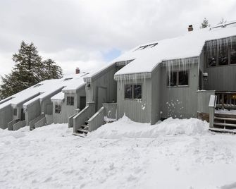 Burke Mt. Wintergreen Slopeside Condo, Ski in & out, rustic decor, pet friendly - East Burke - Building