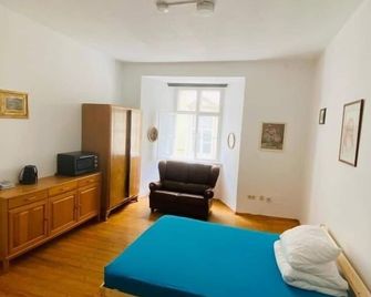 Wohnung für 2 in Grazer Innenstadt - Graz - Habitación