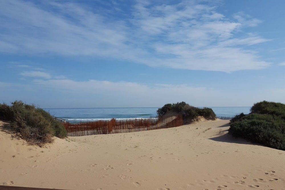 Hotel Ag Express Elche - Elche - Beach