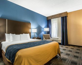Comfort Inn Cleveland Airport - Middleburg Heights - Sovrum