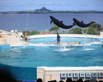 Liitle Island Okinawa Nago - Nago - Bể bơi