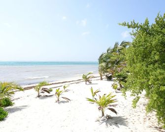 La Salamandra - Puerto Aventuras - Playa